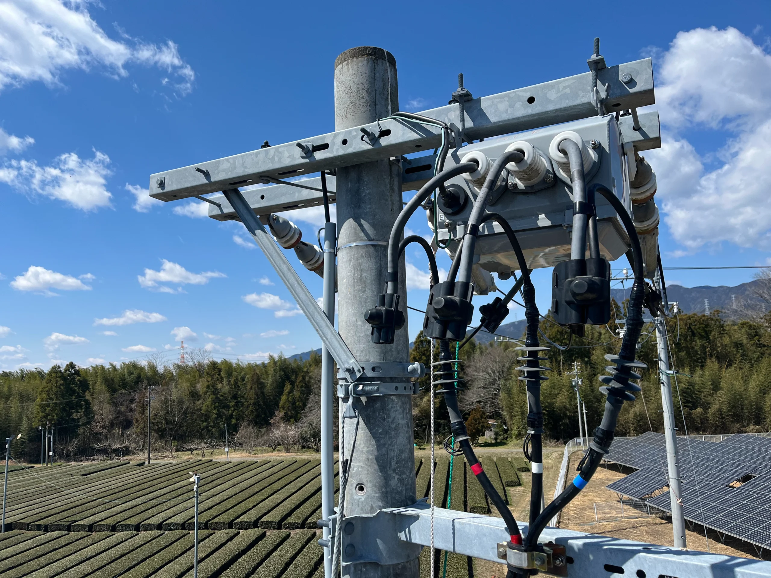 電柱の建柱・ＰＡＳ取付交換の写真画像１
